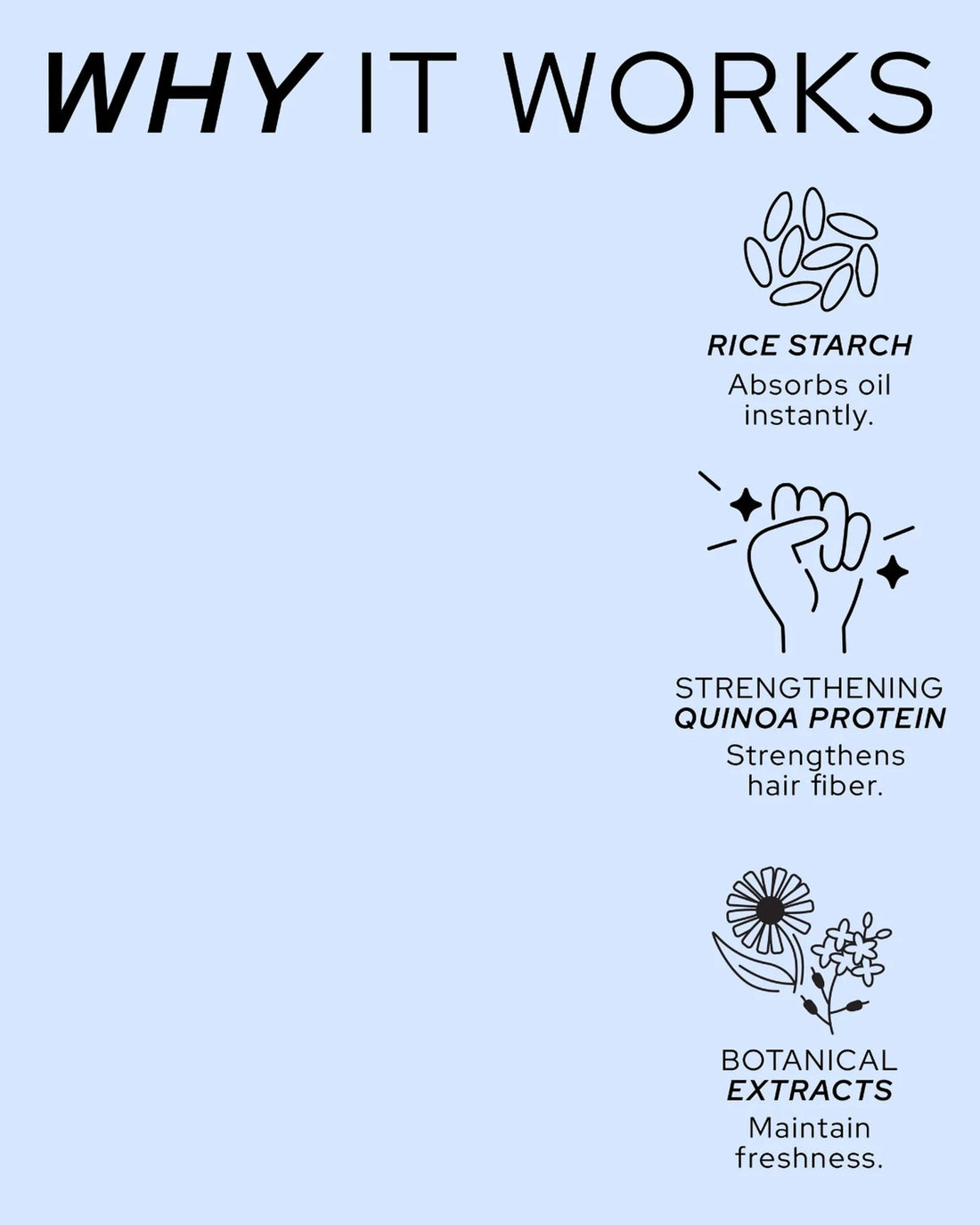 Official ingredient/benefits graphic for Dry Shampoo N°204 - 'Why It Works' callout listing rice starch, quinoa protein and botanical extracts (closest official substitute to a back-of-pack ingredient shot; REF did not publish a literal back-label photo)