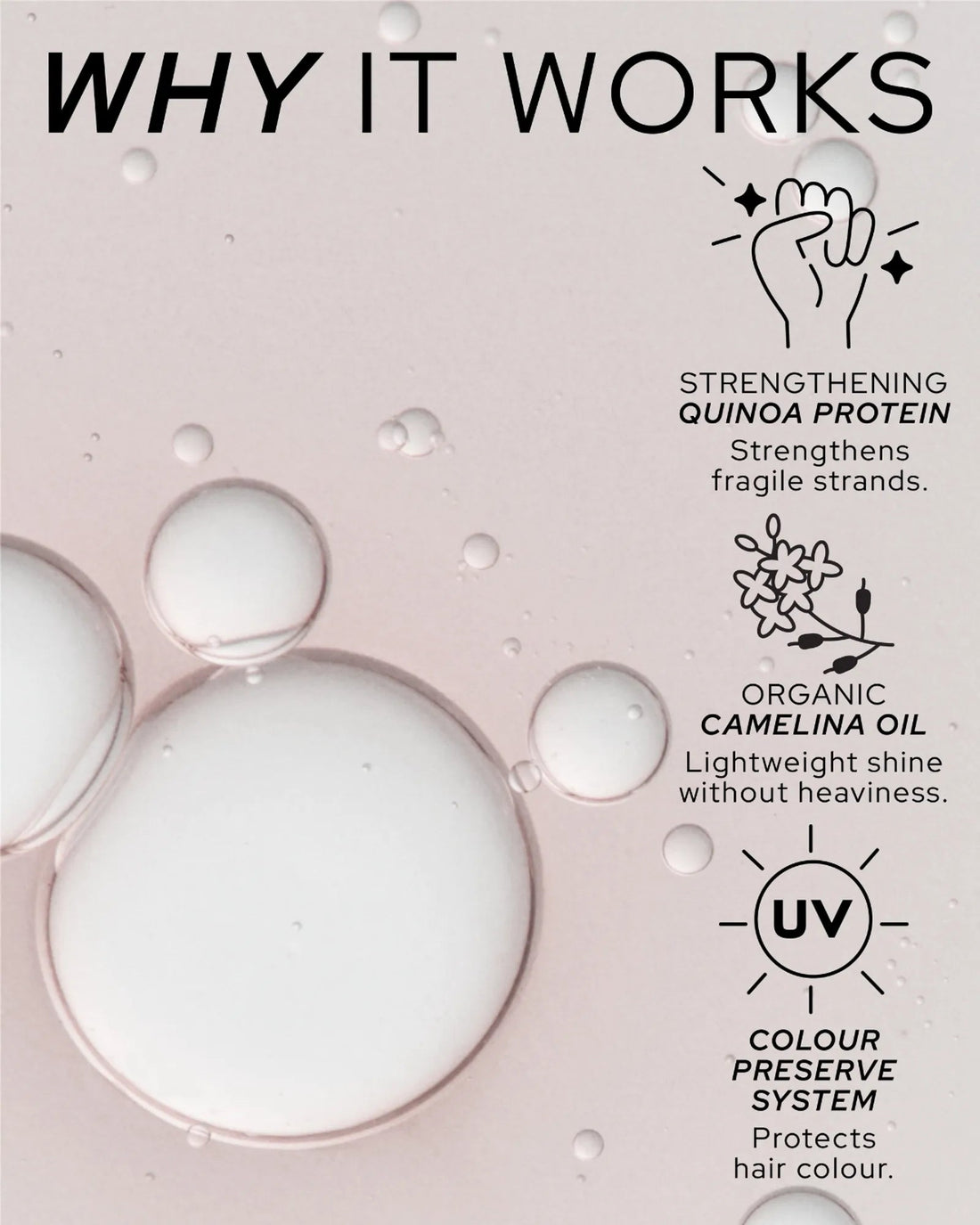REF Stockholm Shine Elixir — official 'Why It Works' ingredient callout graphic showing oil droplets and the key ingredients (organic Camelina oil, strengthening quinoa protein, UV colour-preserve system). Source: refstockholm.com official product gallery. No literal back-of-bottle ingredient-label photo is published for this product; this is the closest official ingredient imagery available.